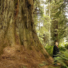 Prairie Creek in Redwoods.  I loved this look on her face. She said she was looking up to thank God for letting her see these trees.