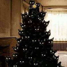 black cat tree