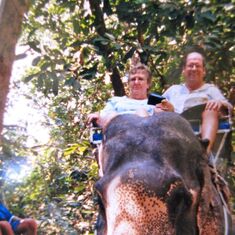 An elephant ride