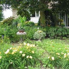 Front Yard Garden