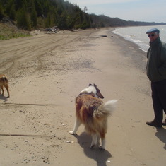 Walking the collies with Bruce