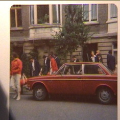 stags in Belgium 1977