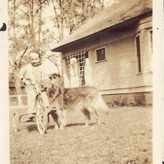 Bill with his dog (we think this is "Shep") at about 5 or 6 years old (approximately)