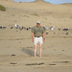 On the beach in California, with birds, of course.
