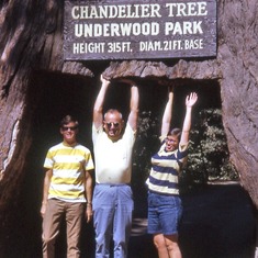 Bill at Sequoia tunnel with family