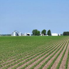 Bill & Alma's farm in Iowa