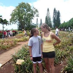 Cousinly love at the Dole Pineapple Plantation