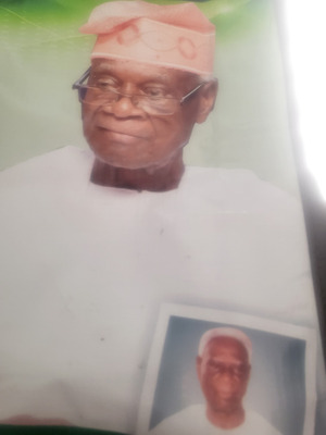 David Olanipekun Soremekun