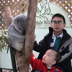 Touching a Koala - August 3, 2003