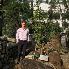 Brandon's memorial tree at HKIS
