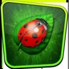Brent's Ladybug