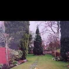 Grange Rd Dads garden Deane Church at back of wall