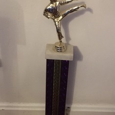 Brian's tae kwon do trophy