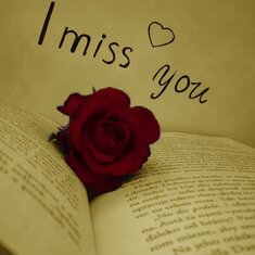 i-miss-you-rose-in-book-graphic-for-share-on-facebook