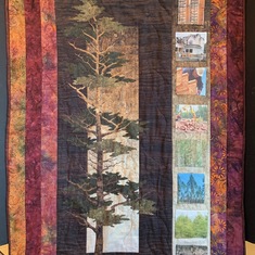 Linking art to science.  The life cycle of a tree quilt inspired by Bruce and created by Barbara. 