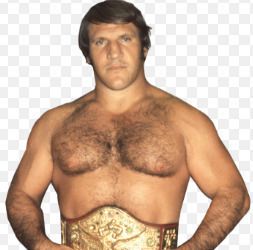 Bruno Sammartino