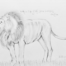 LionesS