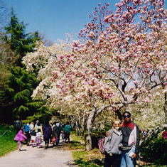 mary & calvin cherry blossom