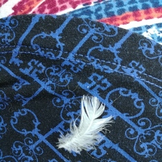 A feather she sent me ❤❤❤ floated through my car window in a parking lot. Window only open 3-4'