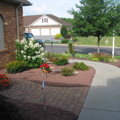 Landscaping Front - 3115 - 2010