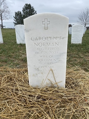 Carolyn F Norman
