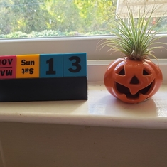 Pumpkin Air Plant - A gift from Cassie (October 2020)  to Cyndi still growing strong