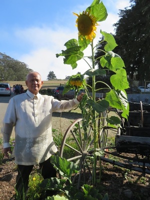 Casto Solomon Pingul
