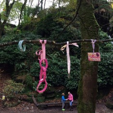 Catherine's branch at St Nectans Glen. Traditionally people leave a tribute in the trees or on the rocks. My two granddaughters left some small tributes and lit candles for Catherine.