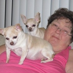 Cathy with some of her dogs.