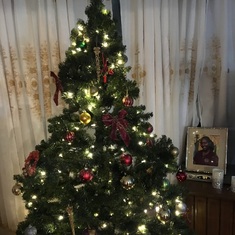 Christmas tree decorated and looking forward to celebrating the holidays.