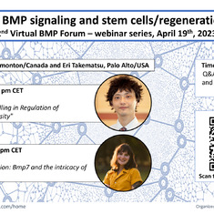 Flyer of the virtual seminar I organized and Eri chaired