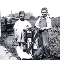 Chet (left) with his brother Cass, their homemade scooter and Ma's chickens
