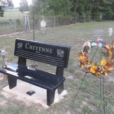 Chey's bench