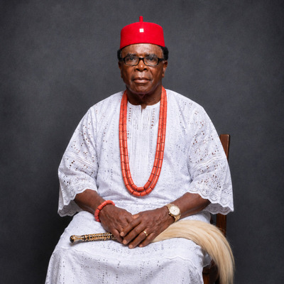 CHIEF CHUKWUDI OBI NWOKA
