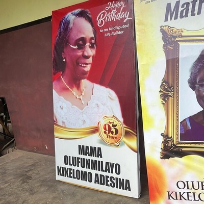 Chief Mrs funmilayo Adesina