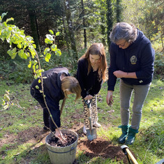 Planting Kimba apple trees, started from seeds by Nanny (Chris) and Kimba at Woodland Burial Site