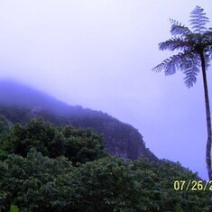 Night falling in the PR rainforest