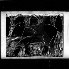 Elephant print by Chris 1994
