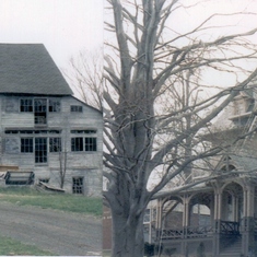 Gracey Ave Barn and the Miller House