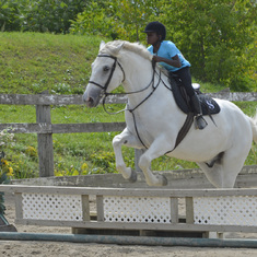 Augustin's horse competition in Laval 2014