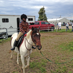 Augustin the equestrian, 2013