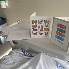 Cards from the parents to help Claude get well at the hospital