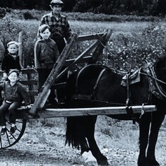 My Father Mr. Thomas Walsh & his 4 sons Lenny sitting down behind him Brenton in front of Dad Rickie and with the cap Roddy on the cart that we used to stomp hay down on .