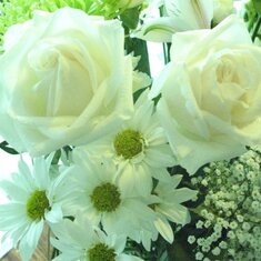 My flowers I love white