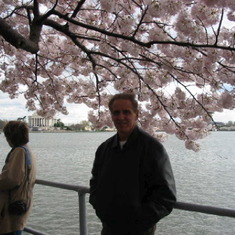 Cherry Blossoms on the Tidal Basin - April 2004