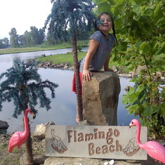 PaPa's Flamingo Beach