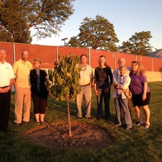 Paw Paw Tree planted in memory of Dale at Larkin Sunset Lawn Cemetery.