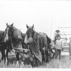 Nearhood Farm near Plattsmouth, Nebraska 1926
