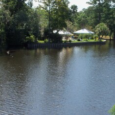 Bush Pointe 9-13-14