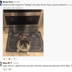 Making the French bulldog connection 